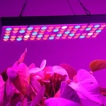 Crecimiento de las Lámparas de 75 Led Crecen la Luz 25W AC85-265V Espectro Completo de la Planta de Iluminación Fitolampy Para las Plantas de Flores Cultivo de Plántulas