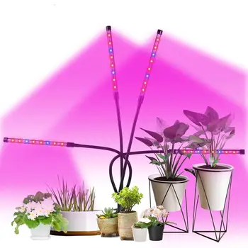 Crecen la Luz led de la Planta de Lámparas de Espectro Completo Fito Lámpara De cubierta Vegetal de la Flor fitolampy Creciente Pantalones de la Tienda de la Luz Cultivo Uv