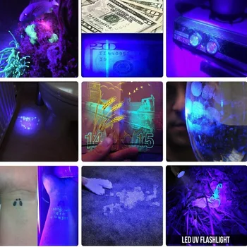 ZHIYU linterna ultravioleta de la Luz ultravioleta Con Función de Zoom UV de la Luz Negra Mascota Manchas de Orina Detector de Escorpión Uso de la batería 18650