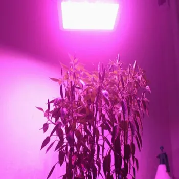 1PCS de la MAZORCA LED de 150w ac220V de alta potencia, el Reflector de Bolas fecha de NACIMIENTO Chip espectro completo de color Rosa de la planta crecer luz de la lámpara anti Rayos 4KV