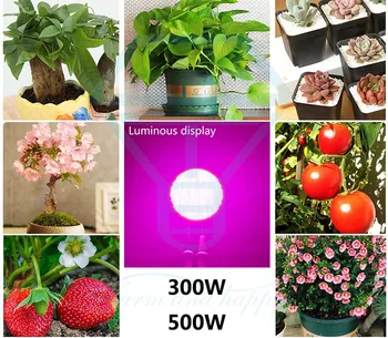 500W LED crece la Planta de la MAZORCA LED de phytolamp 300W Luz de Espectro Completo 30-34V para el exterior de la planta y flor de la iluminación de efecto Invernadero