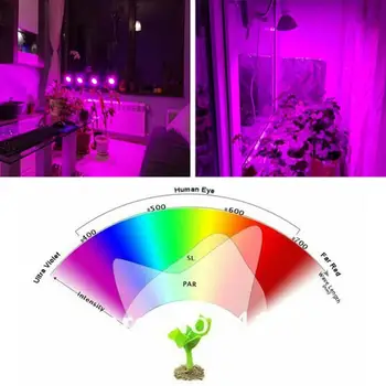 Espectro completo de la Planta Crecer Bombillas de Luz Led de la Lámpara de iluminación para las Semillas hydro Flores de Invernadero de Verduras en el jardín Interior E27 fito growbox